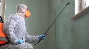 Reliable Boulder City, NV Mold Removal & Remediation Solutions