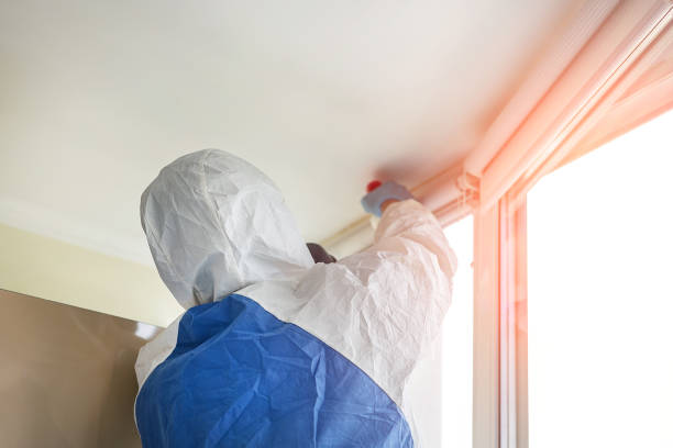 Best Commercial Mold Inspection  in Boulder City, NV