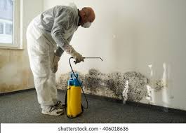  Boulder City, NV Mold Removal & Remediation Pros